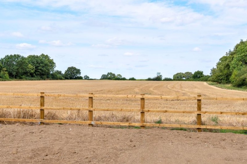 Images for Carters Green, Matching Tye